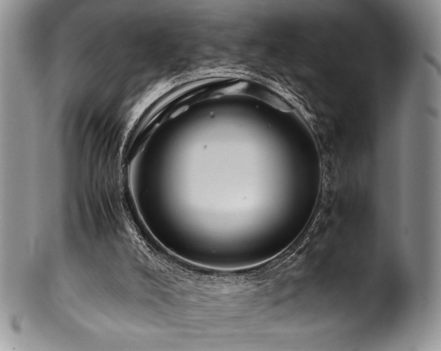 X0000100880008200806201256