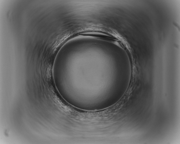 X0000100880009200806201256