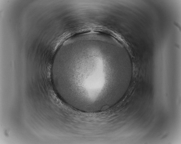 X0000100880010200806201256