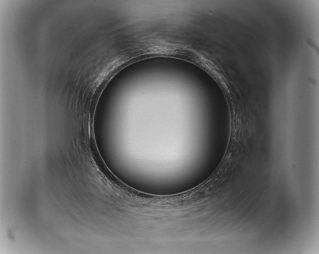 X0000100880011200806201256