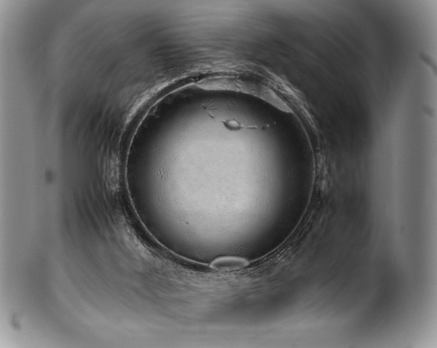 X0000100880012200806201256