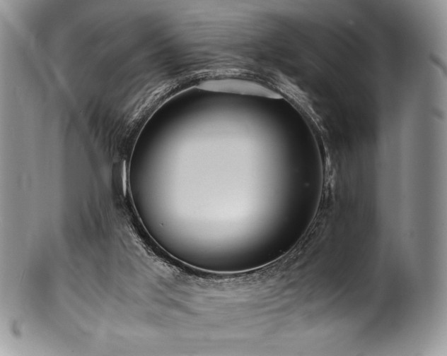 X0000100880013200806201256