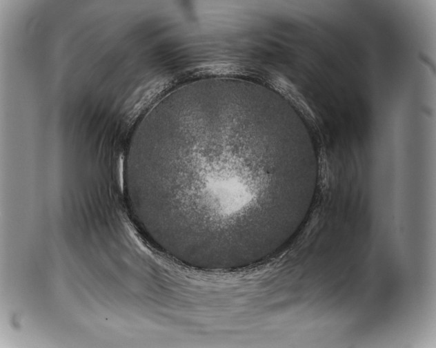 X0000100880014200806201256