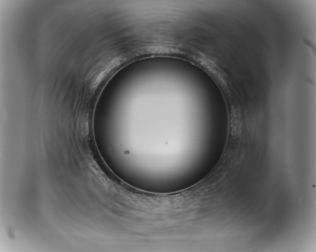 X0000100880015200806201256