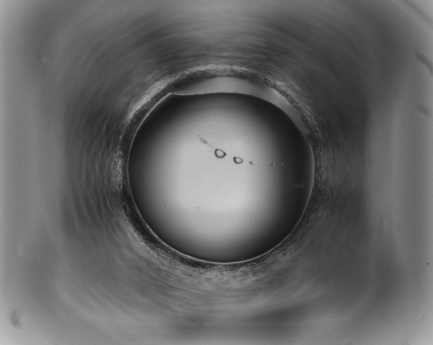 X0000100880016200806201256