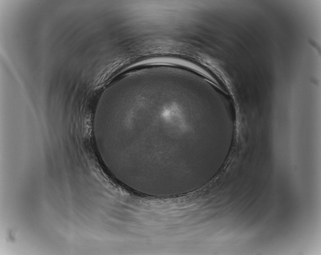 X0000100880017200806201256