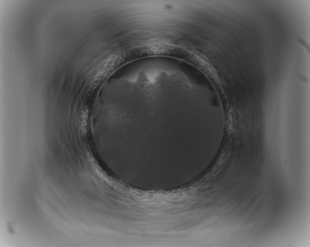 X0000100880018200806201256