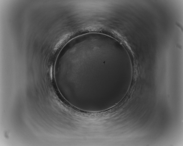 X0000100880019200806201256