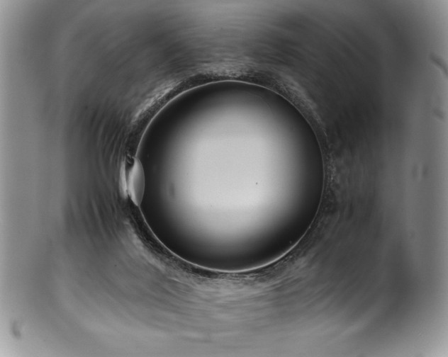 X0000100880020200806201256