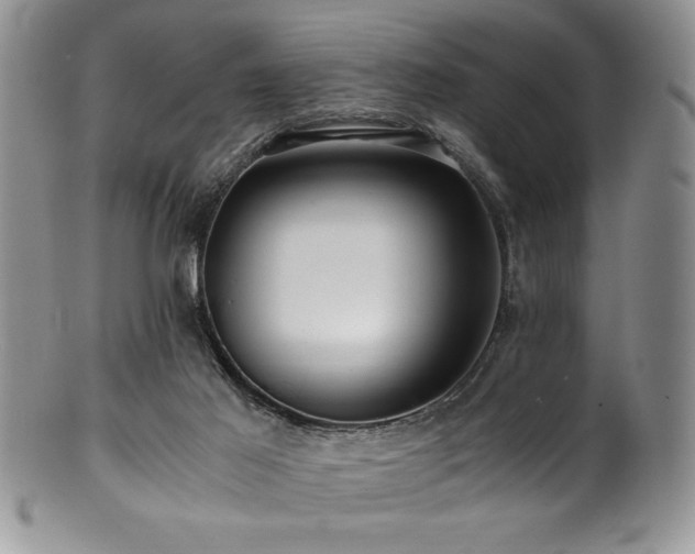 X0000100880021200806201256