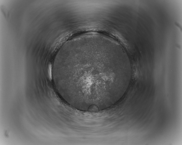 X0000100880022200806201256