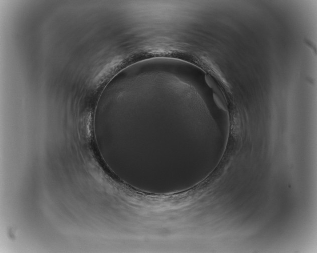 X0000100880023200806201256