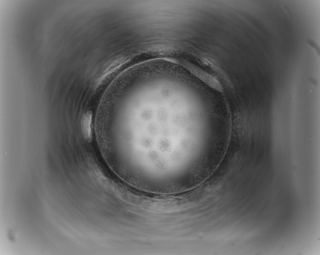 X0000100880024200806201256