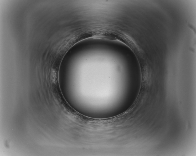 X0000100880025200806201256