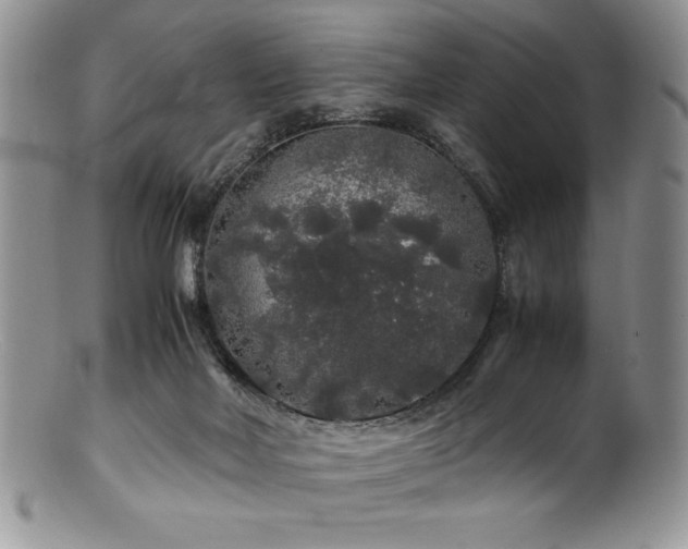 X0000100880026200806201256