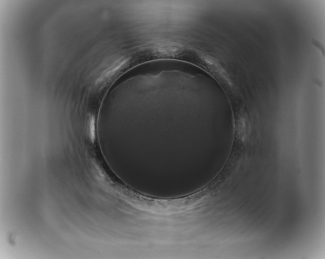 X0000100880027200806201256