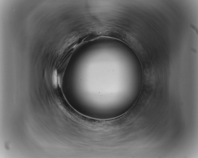 X0000100880028200806201256