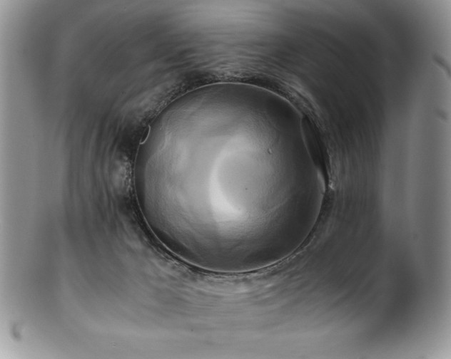 X0000100880029200806201256