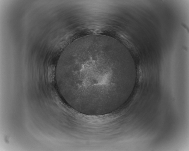 X0000100880030200806201256