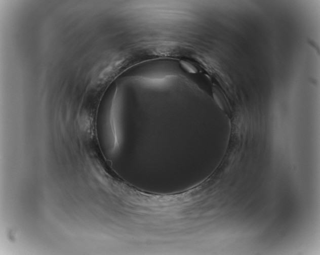 X0000100880031200806201256