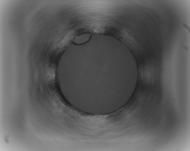 X0000100880032200806201256