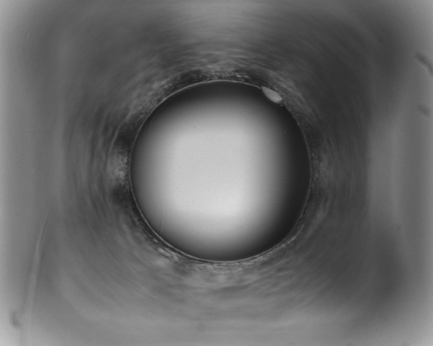 X0000100880033200806201256