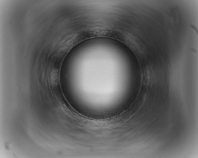 X0000100880034200806201256