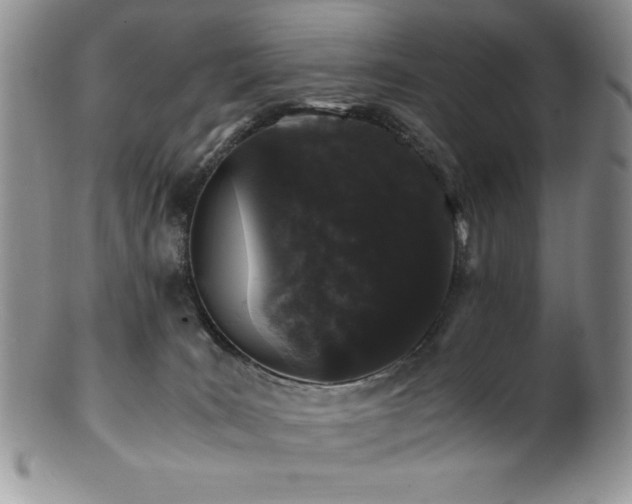 X0000100880035200806201256