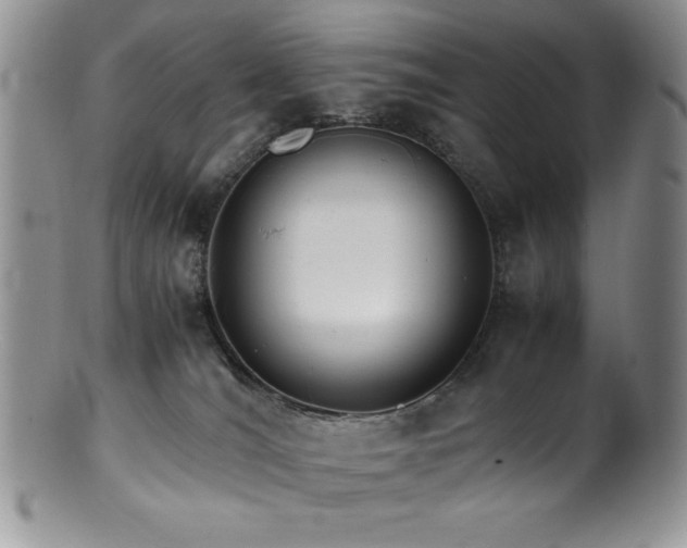 X0000100880036200806201256