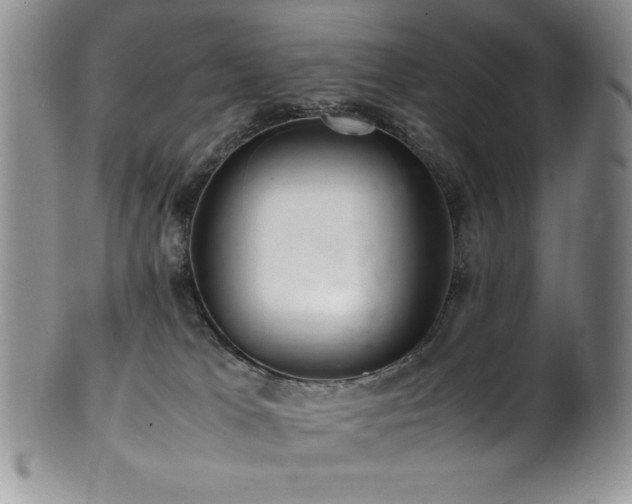 X0000100880037200806201256