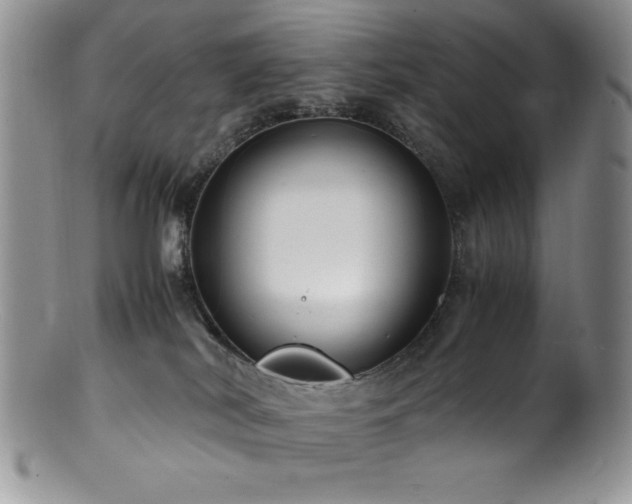 X0000100880038200806201256