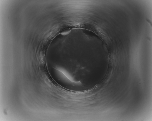 X0000100880039200806201256