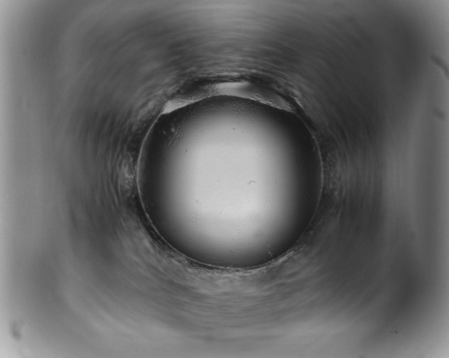 X0000100880040200806201256