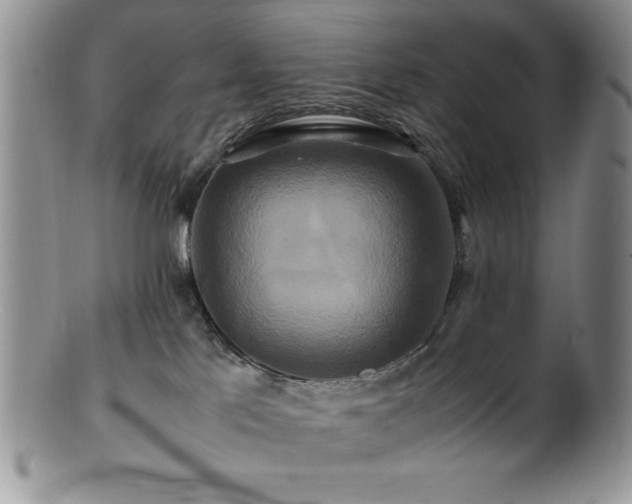 X0000100880041200806201256