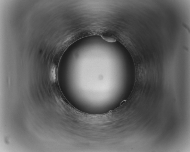 X0000100880042200806201256