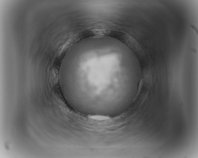 X0000100880043200806201256