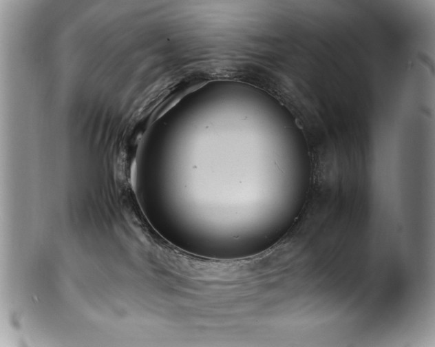 X0000100880044200806201256