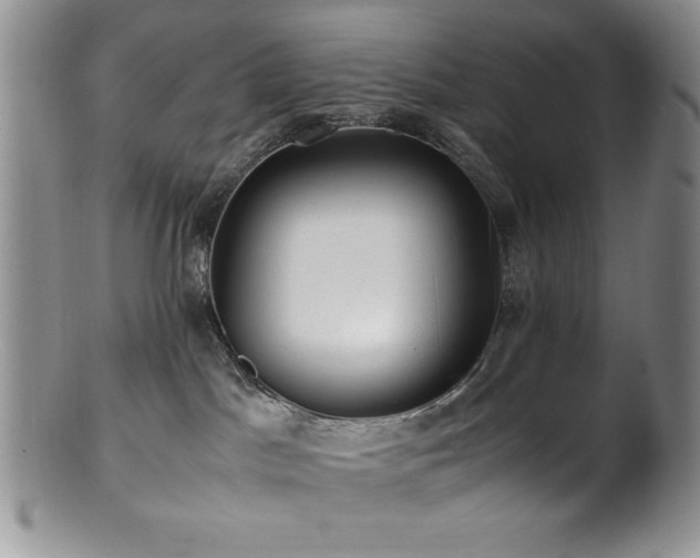 X0000100880045200806201256