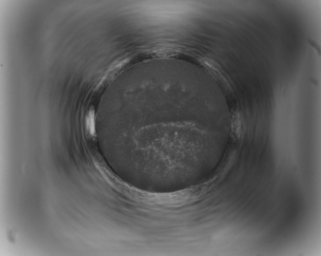 X0000100880046200806201256