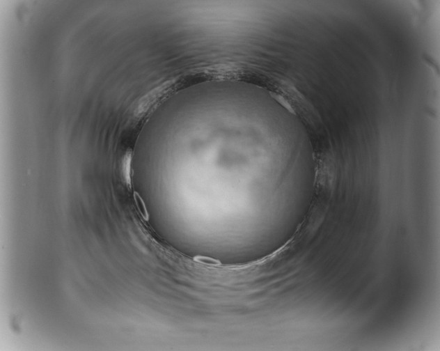 X0000100880047200806201256