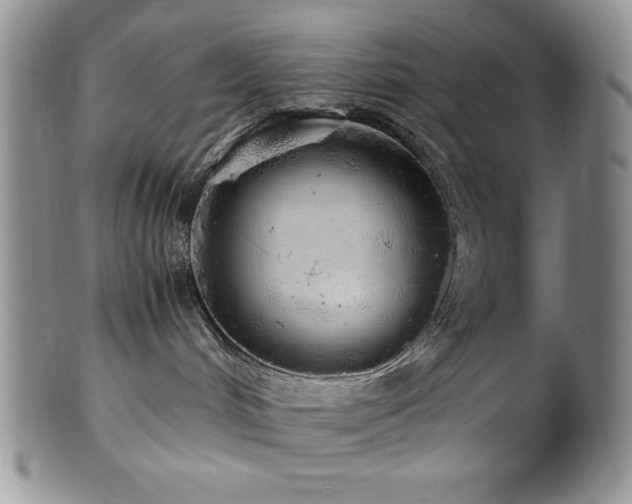 X0000100880048200806201256