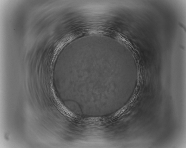 X0000100880049200806201255