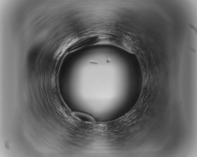 X0000100880050200806201255