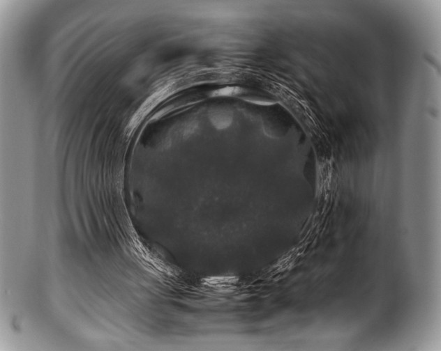 X0000100880051200806201255