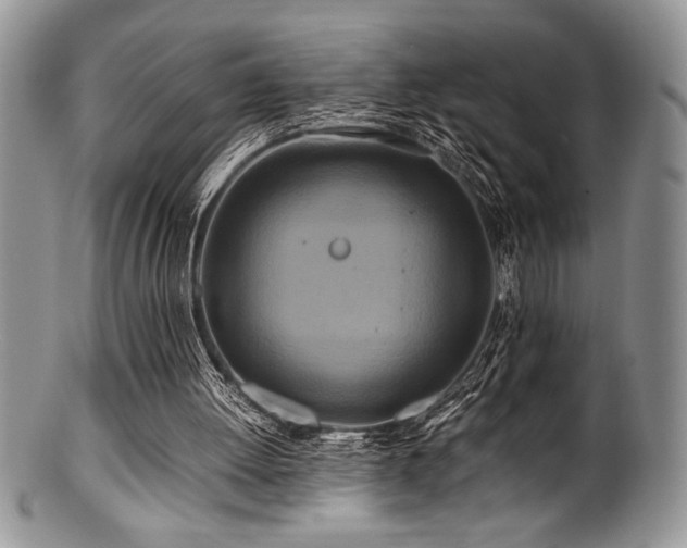 X0000100880052200806201255