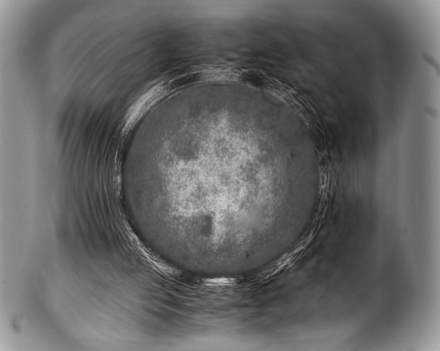 X0000100880053200806201255