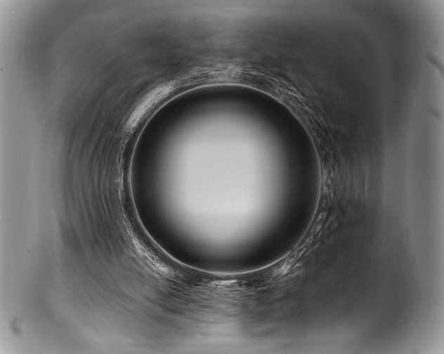 X0000100880054200806201255