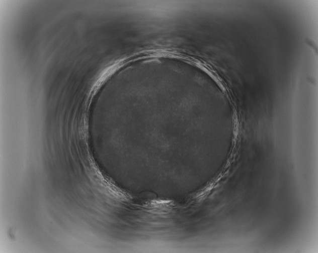 X0000100880055200806201255