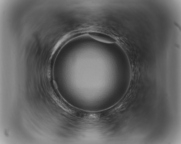 X0000100880056200806201255