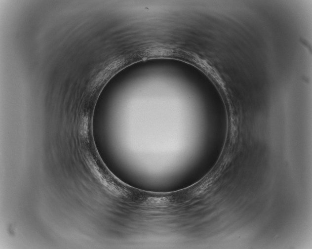 X0000100880057200806201255